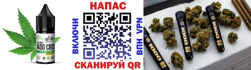 продажа наркотиков Кирс кракен зеркало Cannafood марихуана