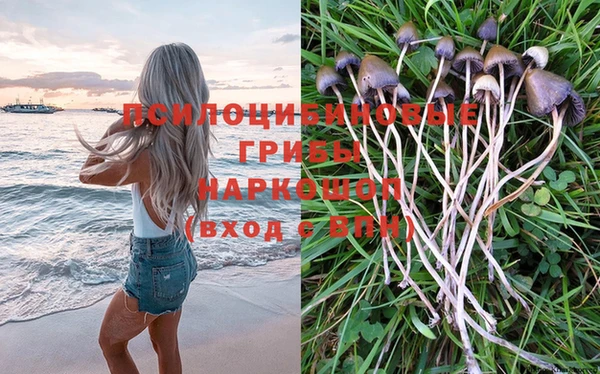 mix Алексеевка