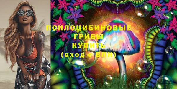 стаф Алексин