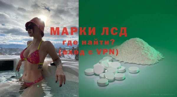 стаф Алексин