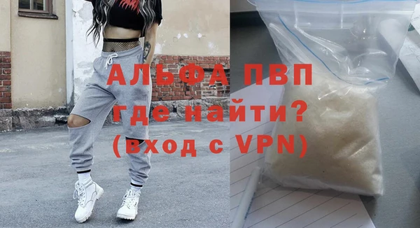 стаф Алексин