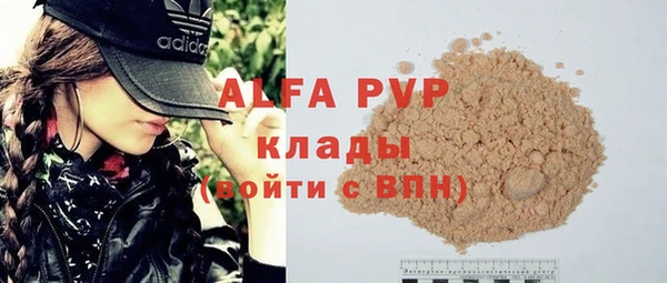 стаф Алексин