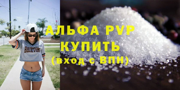 стаф Алексин