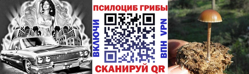 Галлюциногенные грибы мицелий  Кирс 